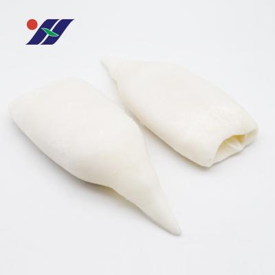 China Nutritious Newly Arrived Frozen Squid Tubes, Semi-processed Frozen Fresh Frozen Squid Products for sale