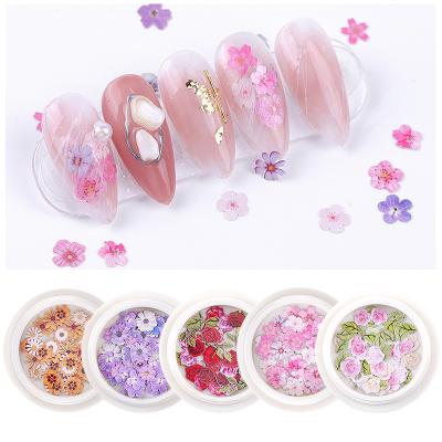 China Nail Cosmetics 1 Nail Art Decoration Daisy Rose Flower Nail Dried Flower Nail Art Pulp Piece Patch DIY Decoration Mixed Flower Wood Pot Nail Small for sale