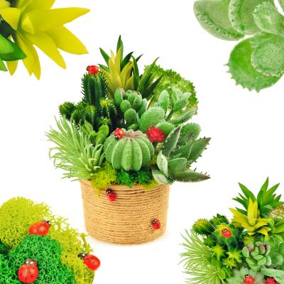 China On Sale New Type Eco - Friendly Succulents Plants Well Outdoor Home Artificial Succulents for sale