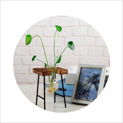 China Minimalist Desktop Wall Hanging Flower Vase Planter Desktop Mini Glass Greenhouse for sale