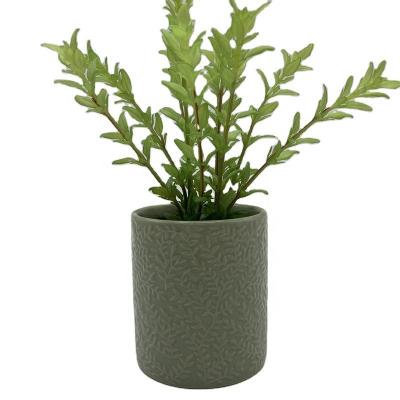 China Top Selling Eco - Friendly Home Decoration Green Plastic Artificial Mini Plants With Ceramic Pot for sale