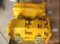 China Double Pump for SD16 for sale