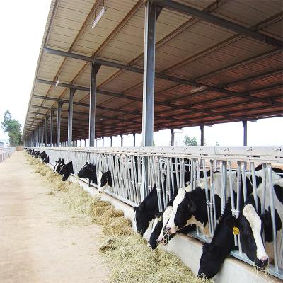 China Prefab cow farm light steel structure barn for sale