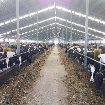 China Cow Farm Steel Structure Design Poultry Farm Shed for sale