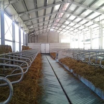 China Cow Farm Steel Structure Feeder Beef Cattle for sale