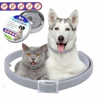 China Dogs Flea And Tick Control Adjustable Waterproof Collar Protect For Dogs / Cats for sale