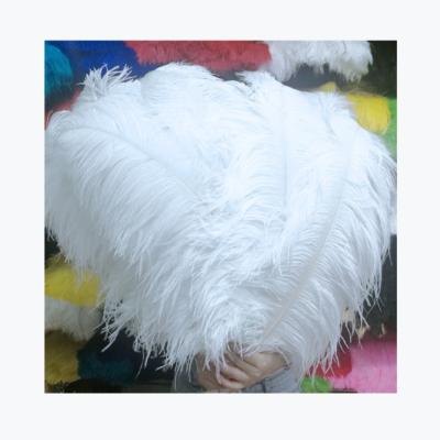 China TNM001 20-25cm Miscellaneous Ostrich Hotels Luxury Home Wedding Decoration Ostrich Feather White Feather Feather Wall for sale