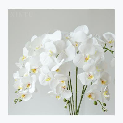 China Real Touch Orchid HDL001 9flower Heads Selling Popular Artificial Orchid Plants Real Touch Flower With Stem Home Decor for sale