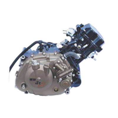 China Water-cooled factory directly supply YinXiang 3W-300 water-cooled tricycle motor for sale for sale