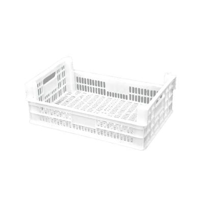 China PP& White High Quality PE Factory PP&PE Environmental Plastic Crate for sale