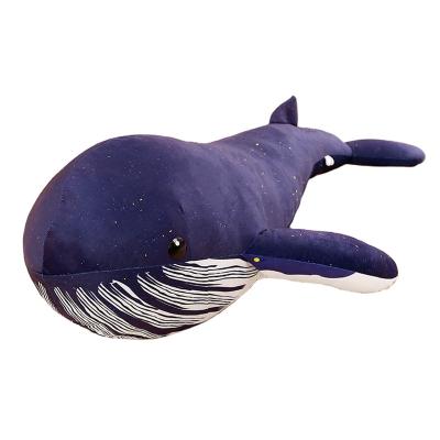 China Cartoon Animal Soft Toy Whale Shark Plush Pillow Whale Plush Toys Sea Bolster Bedroom Decorations Playing Toys High Quality Blue for sale