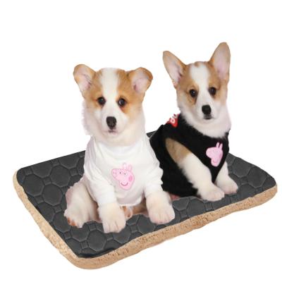 China Custom Viable Pet Supplies Water Absorbent Pet Urinal Pad Non Slip Easy To Dry Washable Reusable Pet Pee Pad Cat Training Pad for sale