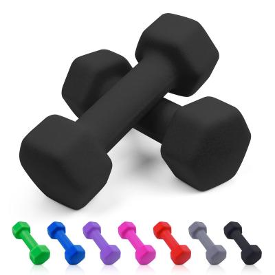 China Gym Fitness Basics Coated Neoprene Dumbbell Hand Weights Set for sale