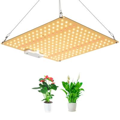 China Seed Starting Factory Wholesale Led Grow Light Panel 600W Horticulture LED Grow Lights for sale