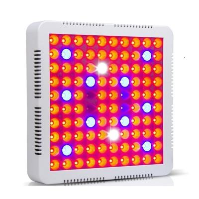 China Grow Led Light Online Distributor Grow Lights Indoor Plants 300W Red + Blue Spectrum Led Grow Light for sale