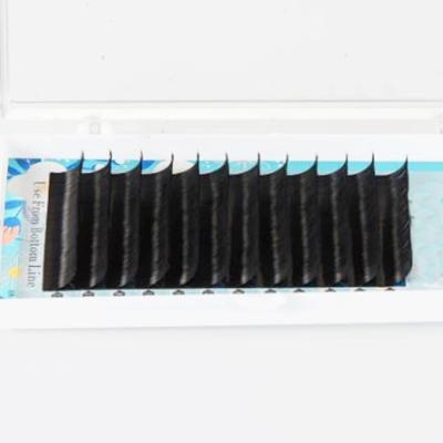 China New natural /Soft /Soft natural arrived 0.05/0.07/0.10 C/D eyelash volume easy to fan effect false eyelash with privata label for sale