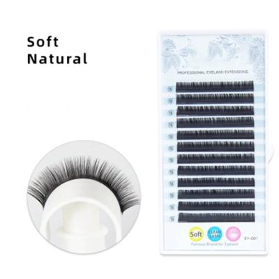 China Russian Natural /Soft Lash Extension Individual Lashes Soft /Soft Volume Eyelash Extension Professionals Natural for sale