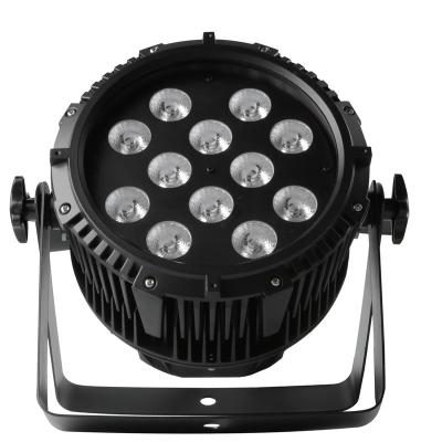 China Theme Park 12*10w RGBW Quad-Colors  IP65 Silence Waterproof Outdoor Wash lights Stage Par Lights for sale