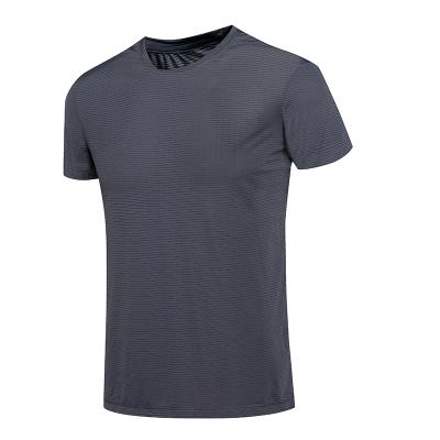 China Anti-Wrinkle Super Elastic Lightweight Mens Sports T Shirt For Summer for sale