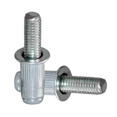 China Knurled Clavicle Body Lock Steel Female Cylinder Lock for sale