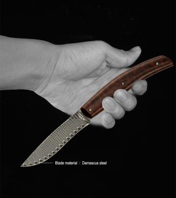 China New Design Non-variable Damascus Knife Camping Stainless Steel Folding Outdoor Essential Pocket Knife With Wood Handle for sale