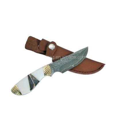 China Non-variable Blade Fixed Knife Damascus Steel Steel Hunting Knife And Shell Handle With Leather Case for sale