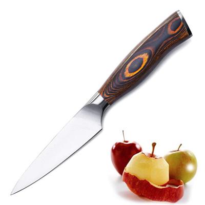 China 1.4116 Sustainable Stainless Steel 4-Inch High Carbon German Paring Knife Fruit Knives for sale