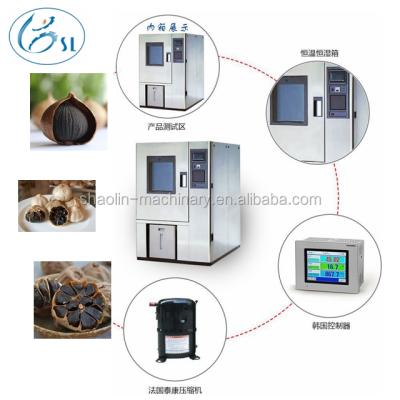 China Best selling type automatic garlic fermentation black box for making black garlic for sale