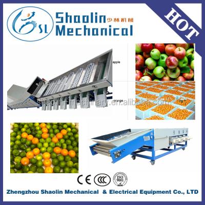 China New Fruit and Vegetable Sorter Style Citrus Waxing and Grading Washing Machine with Best Service for sale