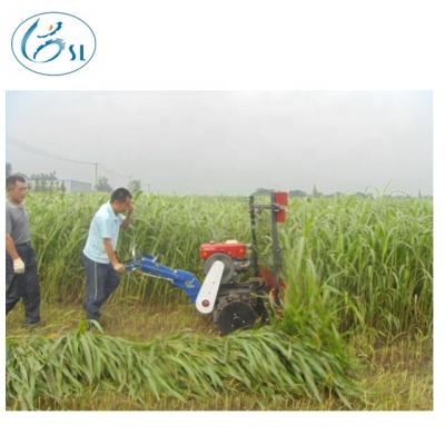 China Good price rice walk-behind mini forage harvester on sale for sale