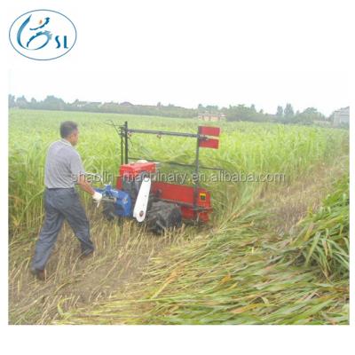 China Used For Harvesting Good Price Corn 2015 Walk-Behind Vertical Rush Harvester For Sale for sale