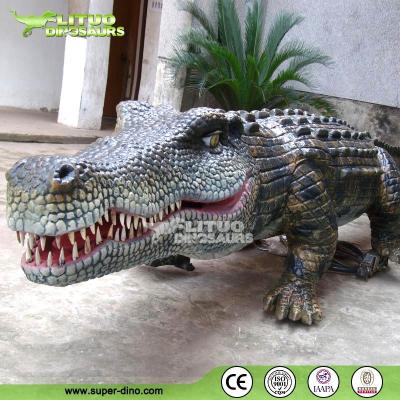 China Animatronic Life Size Crocodile Model LT-GD-EY-H12 Dynamic Animal for sale