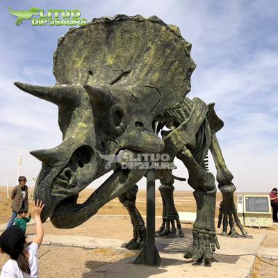 China Outdoor Realistic Giant Dinosaur Amusement Geopark Skeleton Model for sale