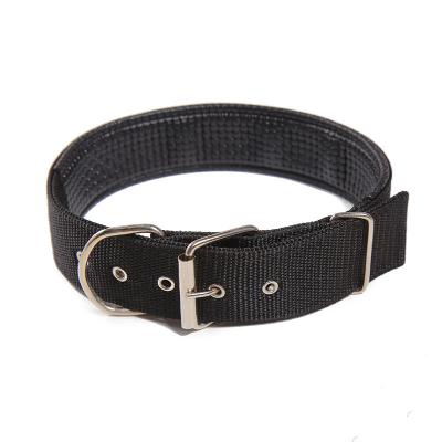 China Sustainable Strong And Durable More Popular Personalized Custom Pet Collar for sale