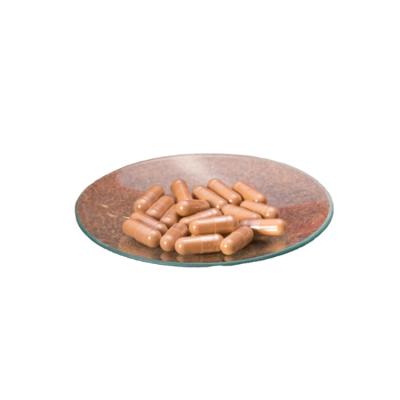 China Health Food Exceptional Value Ganoderma Lucidum Extract Capsules - 1% Triterpenes & 40% Polysaccharides for sale