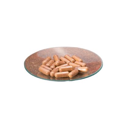 China Health Food Factory Direct Sale Cost-Effective Ganoderma Lucidum Extract Capsules - 1% Triterpenoids & 40% Polysaccharides for sale