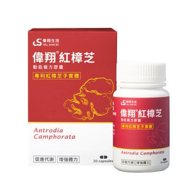 China Health Food Well Shine Antrodia Camphorata Compound Immune Boost Capsule ODM/OEM for sale