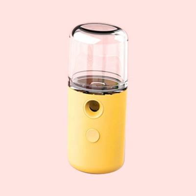 China 30ml Mini Portable Electric Nano Face Filling Mist Sprayer Mini Moisturizer Water Facial Jet for sale