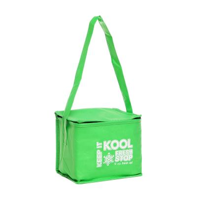 China High Quality Recyclable Custom Printed Cooler Bag Esky Wholesale Picnic Thermal Insulated Bag For Promotion for sale