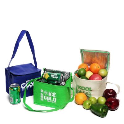 China Recyclable High Quality Custom Printed Wholesale Nonwoven Cooler Fridge Wine Bags Picnic Cooler Bags For Lunch for sale