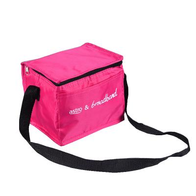 China Wholesale Custom Waterproof Logo Promotional Coolbox Reusable Ice Cream Container Insulated Cooler Bags For Food for sale