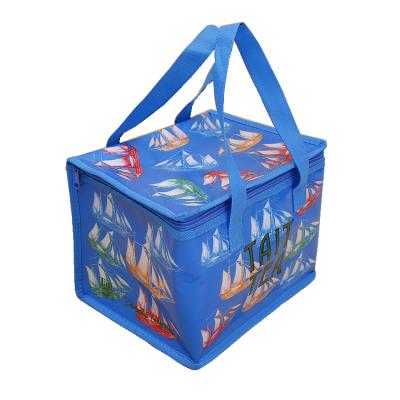 China Custom Printed Waterproof High Quality Ice Box Cooler Bags Insulated Ice Cream Box Wholesale Ice Cooler Bag For Sale for sale