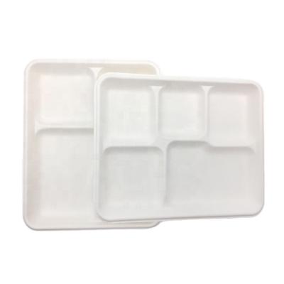 China Stored Biodegradable Compostable Sugarcane Bagasse Pulp 5 Compartment Disposable Tray for sale