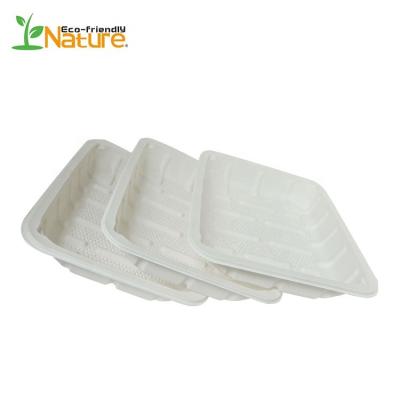 China Eco - Friendly Disposable Disposable Meat Trays Biodegradable Cornstarch Tray for sale