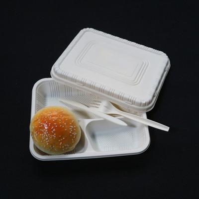 China Sustainable Food Trays 3 Compartment Cornstarch Disposable Cornstarch Tray Biodegradable Cornstarch Tray for sale