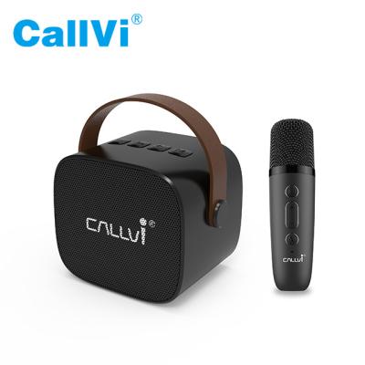 China Portable Mini Classroom Callvi W2 Music Player Amplifier BT Karaoke Speaker with Wireless Handheld Microphone for sale