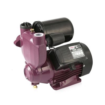 China Family Houses Electric Motor Self Priming Booster Domestic Automatic Water Pump for sale