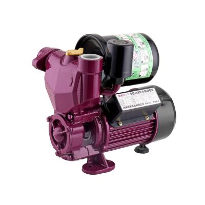 China 2021 Family Homes Domestic Automatic Self Priming Hot Water Pressure Booster Pumps for sale