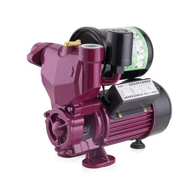 China Automatic Electric Self Priming Family Homes Water Pump With Pressure Tank for sale