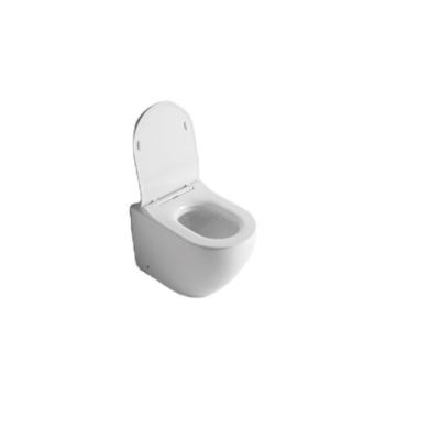 China Modern Luxury Design Sanitary Ware Flush Mounted Ceramic Washdown One Piece Toilet for sale